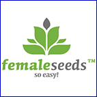 nasiona marihuany, konopi, female seeds