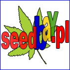 nasiona marihuany, konopi, seedbay
