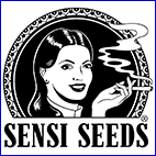 nasiona marihuany, konopi, sensi seeds
