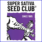nasiona marihuany, konopi, super sativa seed club