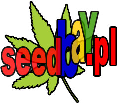 SeedBay