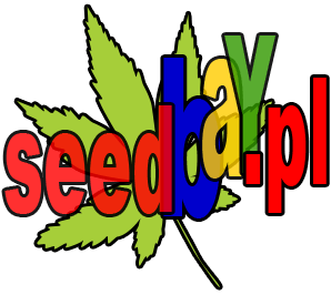 Nasiona Marihuany i Konopi od SeedBay.pl