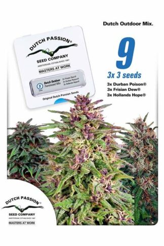Dutch Outdoor Mix Feminizowane 9szt – Dutch Passion