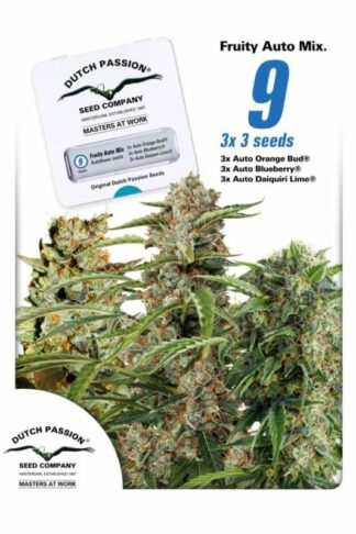 Fruity Autoflower Mix Feminizowane 9szt – Dutch Passion