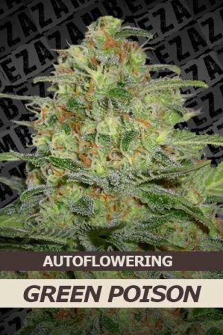 Green Poison Automatic Feminizowane
