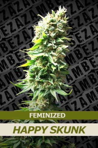 Happy Skunk Feminizowane