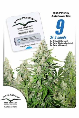 High Potency Autoflower Mix Feminizowane 9szt – Dutch Passion