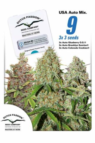 USA Autoflower Mix Feminizowane 9szt – Dutch Passion